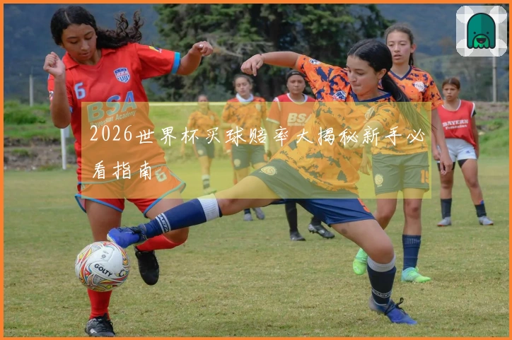 2026世界杯买球赔率大揭秘新手必看指南