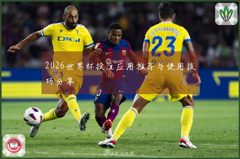 2026世界杯投注应用推荐与使用技巧分享